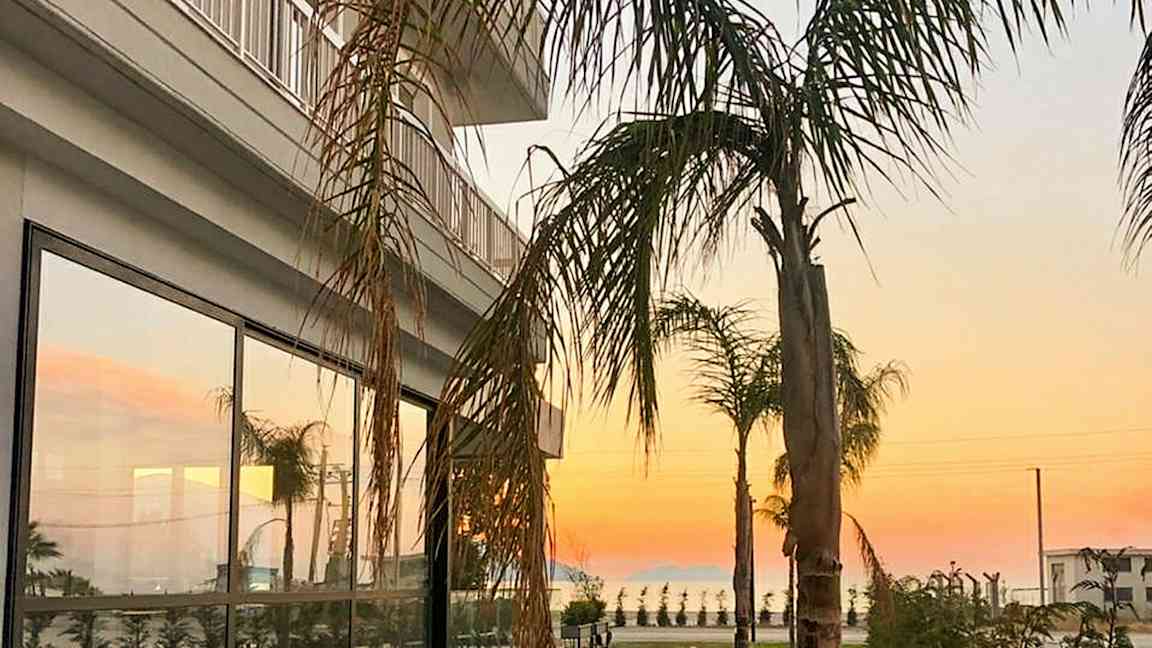 En byggnad med glasfönster och palmer i förgrunden vid solnedgång. (AI-genererad text)