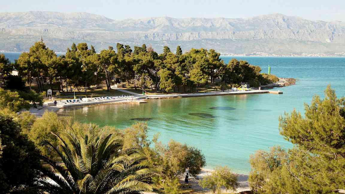 Vy över en strand med turkost vatten och tallträd. (AI-genererad text)