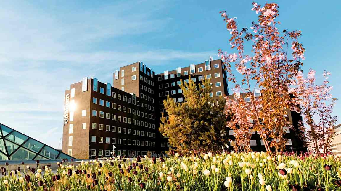 En byggnad med moderna fönster och omgivande blommande träd och tulpaner under en blå himmel. (AI-genererad text)