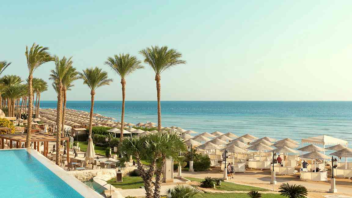 Palmträd vid en strand med parasoller och klart blått vatten. (AI-genererad text)