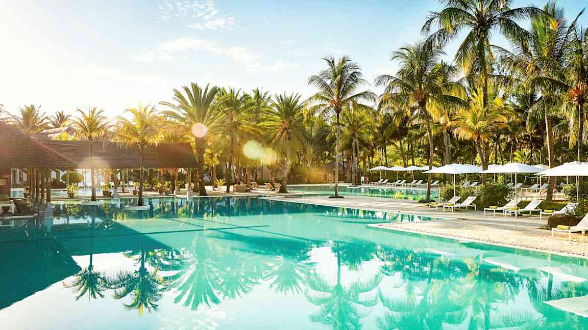 Simbassäng omgiven av solstolar och palmer. (AI-genererad text)