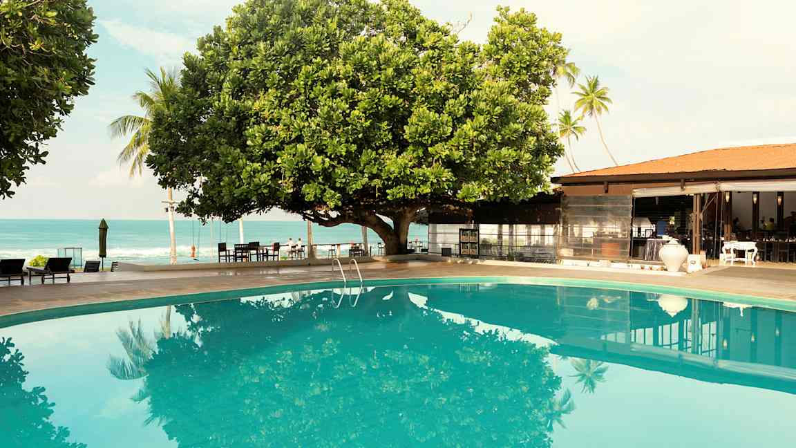 En pool vid sidan av ett stort träd och i bakgrunden syns havet samt en byggnad. (AI-genererad text)