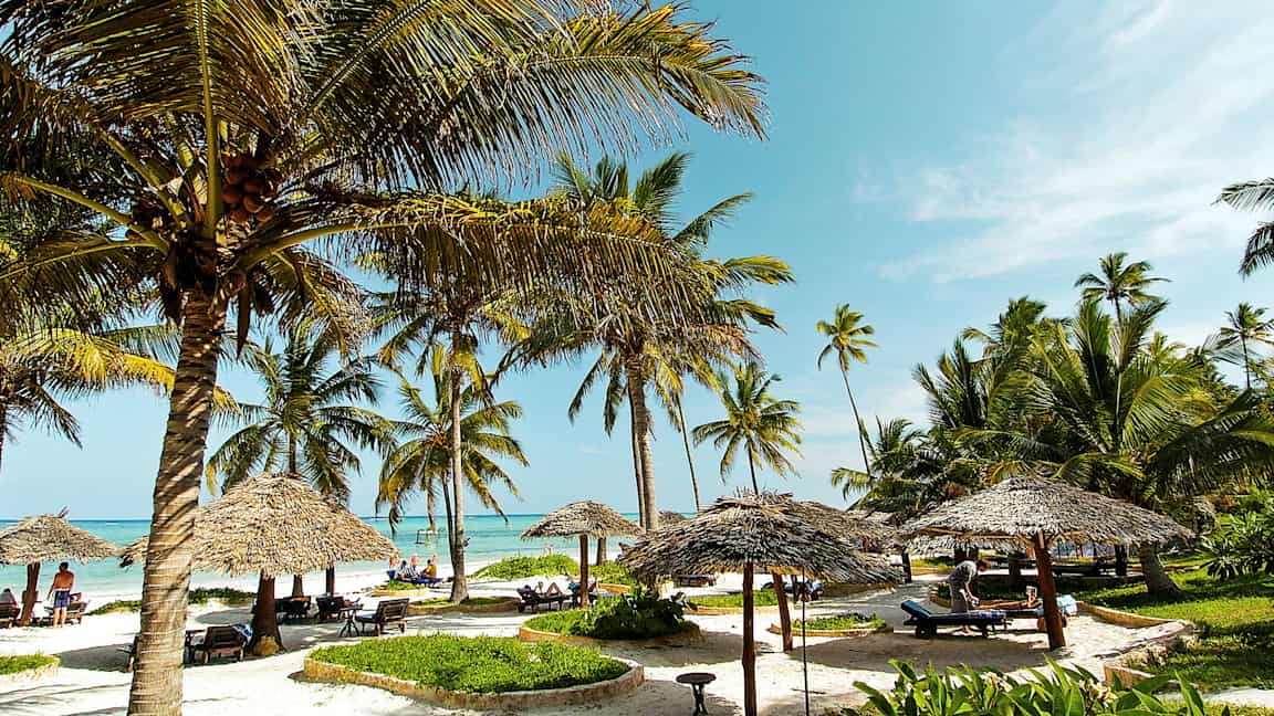 Strand med kokospalmer, parasoller och solstolar under en blå himmel. (AI-genererad text)