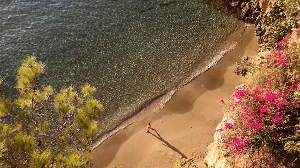Utsikt över en liten strand med klart vatten, sand och en person som går. Färgglada blommor och växter syns vid sidan av stranden. (AI-genererad text)