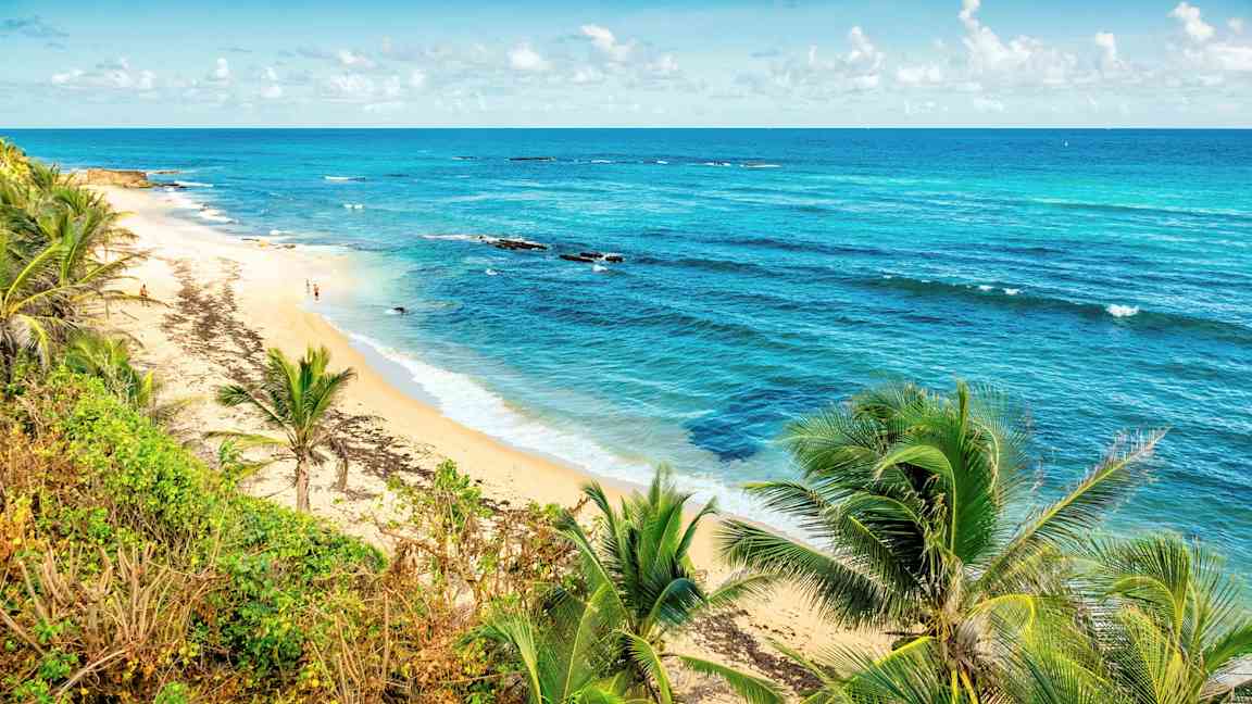En tropisk strand med palmer och blått hav. (AI-genererad text)