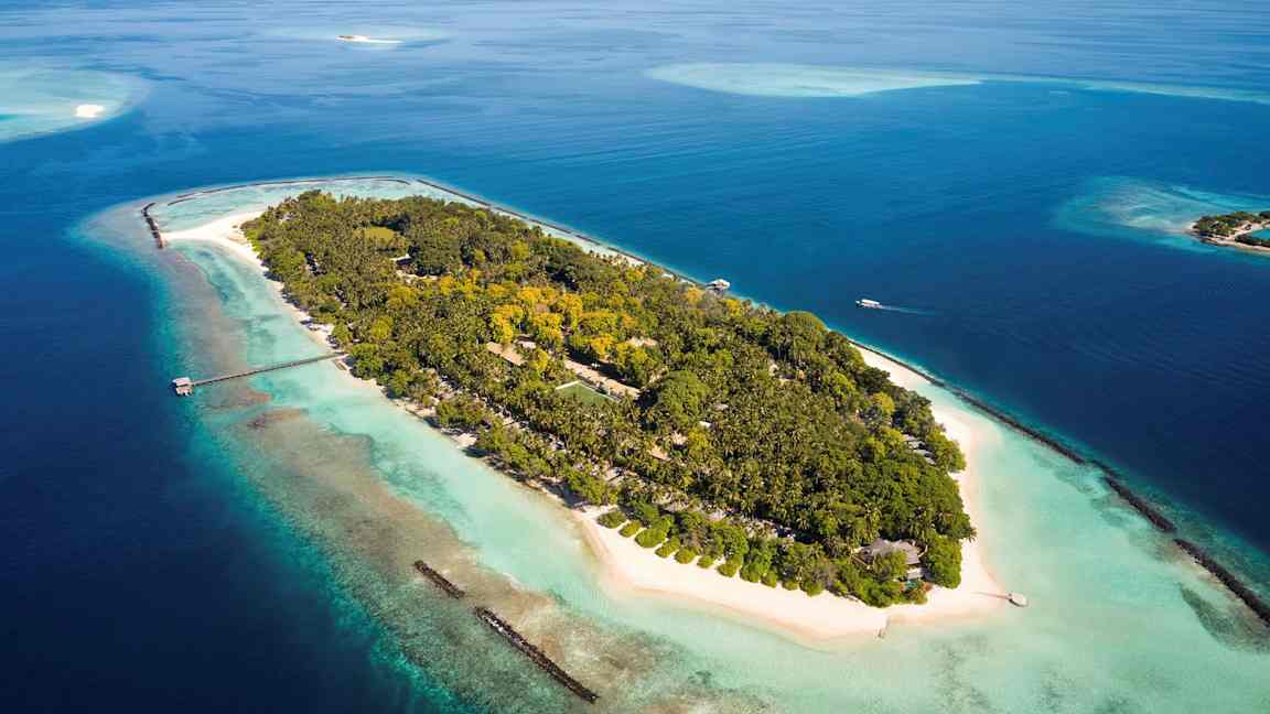 En ö med tropiska växter omgiven av turkost vatten och sandstranden. (AI-genererad text)