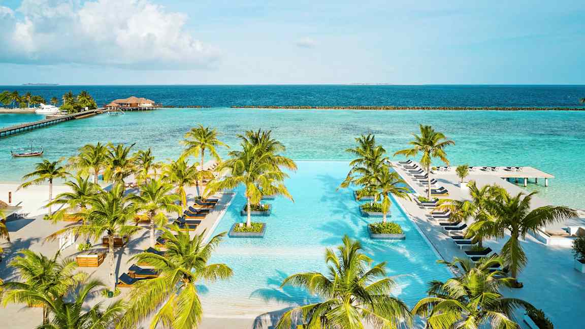 En infinitypool omgiven av palmer med havet i bakgrunden. (AI-genererad text)