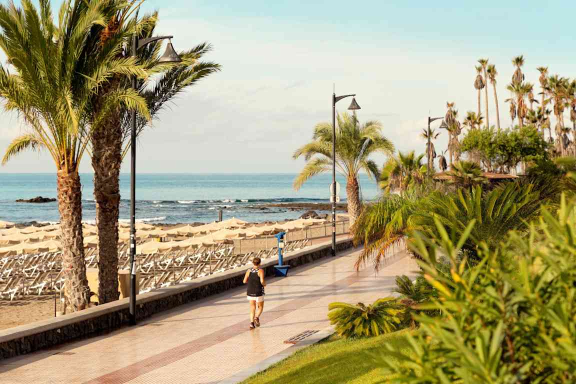 En strandpromenad med palmer och hav i bakgrunden. (AI-genererad text)