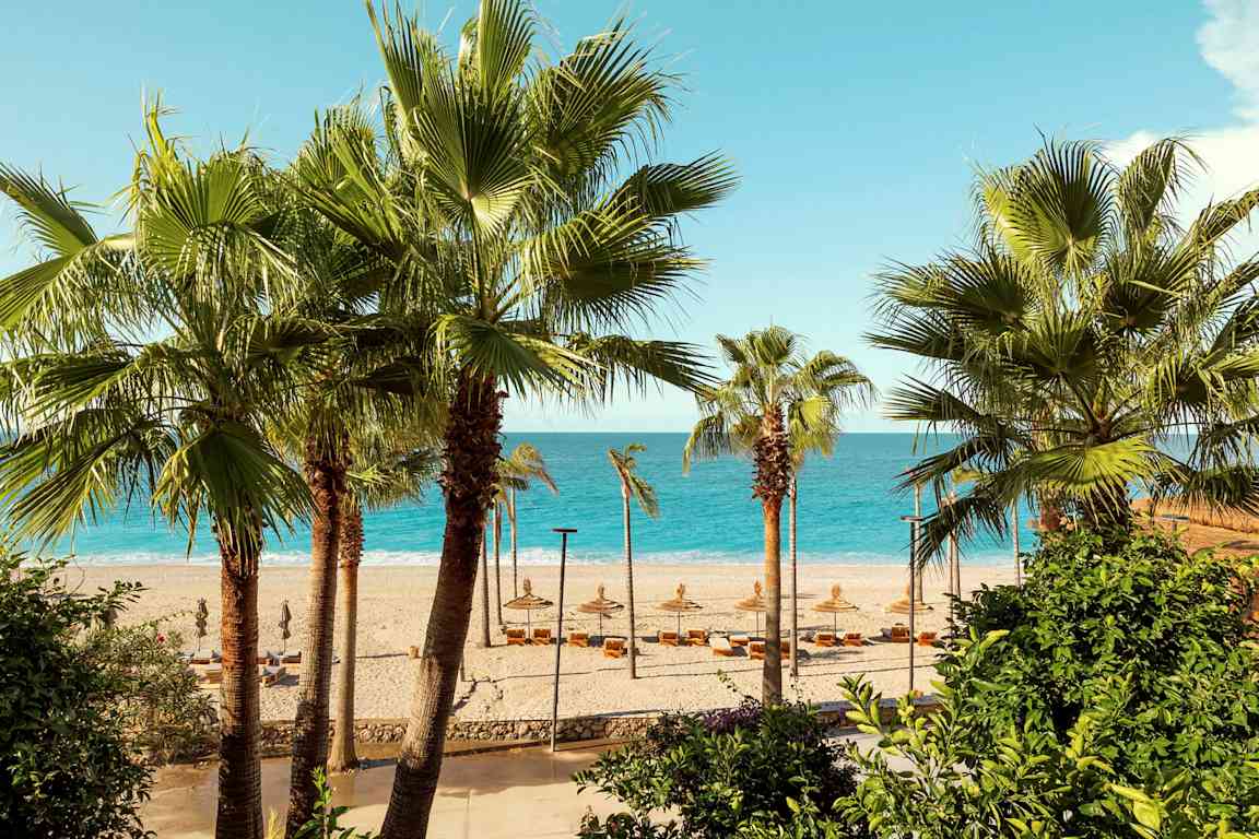 Strand med palmer i förgrunden och havet i bakgrunden. (AI-genererad text)