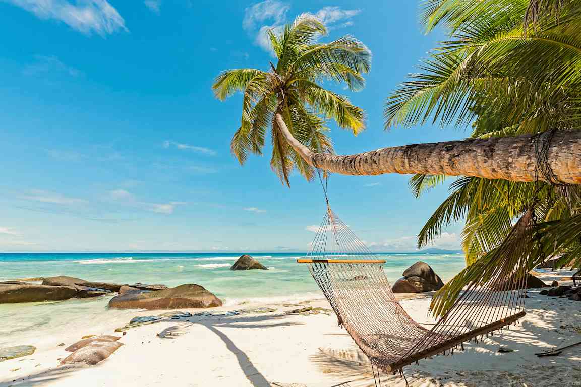 En hängmatta hänger från en lutande palm på en sandstrand vid det turkosa havet. (AI-genererad text)