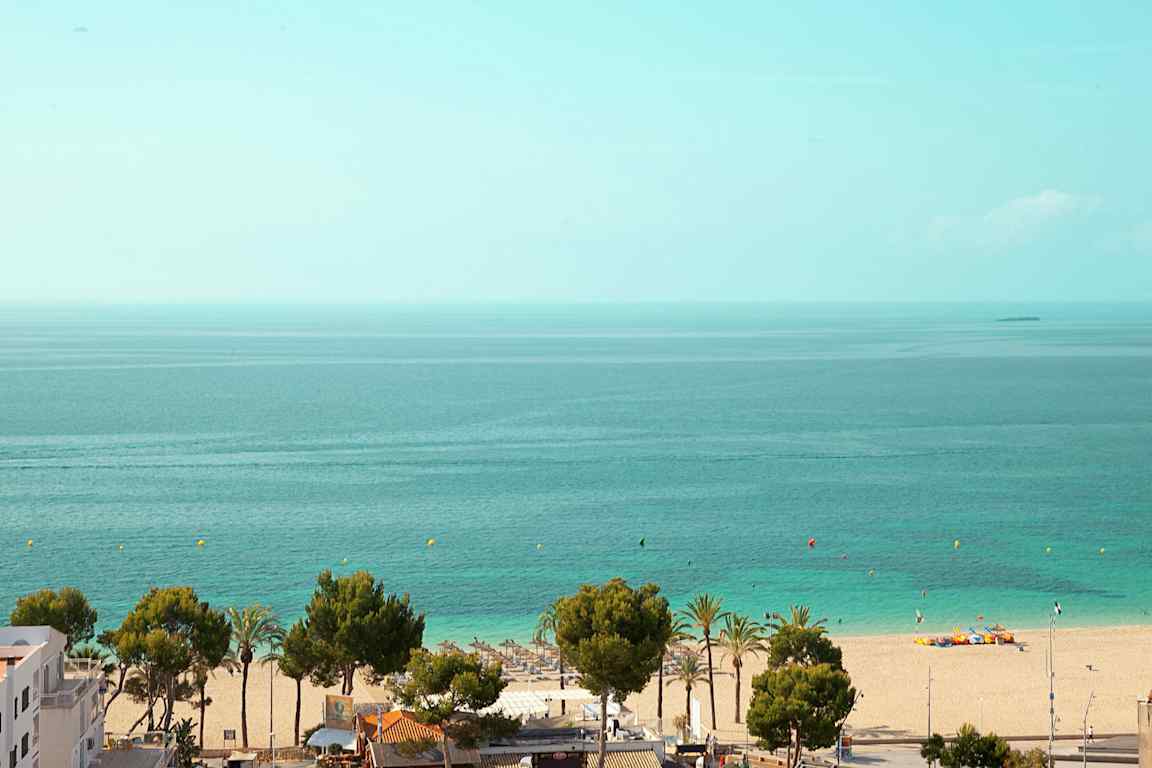 Vy över en strand med sand, träd och hav. (AI-genererad text)