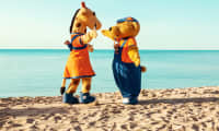 På Sunwing Alcudia Beach kan du delta i roliga aktiviteter med Lollo & Bernie