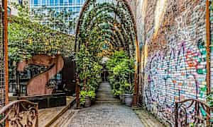 En gränd med en täckt gång och växter samt tegelvägg märkt med graffiti. (AI-genererad text)