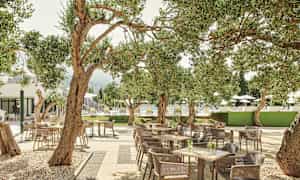 En utomhusservering omgiven av olivträd och bord med stolar. (AI-genererad text)