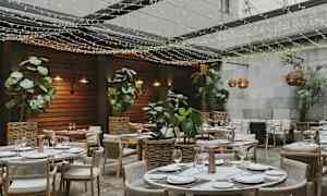 En restaurang med utomhusområde, bord dekorerade för måltider omgivna av växter och ljusslingor. (AI-genererad text)