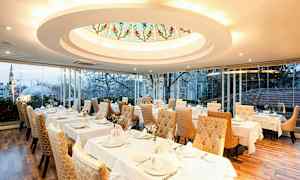 En elegant restaurang med dukade bord och gyllene vadderade stolar. Ett stort fönster visar utsikten över en stad med träd och byggnader. (AI-genererad text)