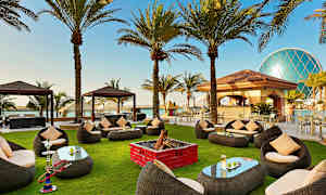 Trädgård med sittplatser, palmer och poolområde. (AI-genererad text)