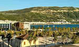 Vy över en stadspark med palmer, byggnader i förgrunden, en hamn med båtar och grönklädda backar i bakgrunden. (AI-genererad text)