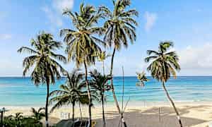 Palmträd vid en sandstrand med klarblått hav i bakgrunden. (AI-genererad text)