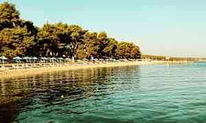 Strand med solstolar och parasoller vid vattenkant, med träd i bakgrunden. (AI-genererad text)