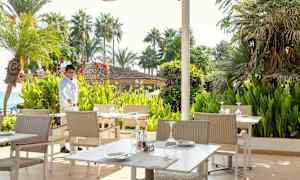 En uteservering med bord och stolar omgiven av grönska och palmer. (AI-genererad text)