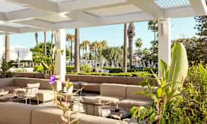 Utomhuslounge med sittmöbler i en trädgård omgiven av palmer. (AI-genererad text)