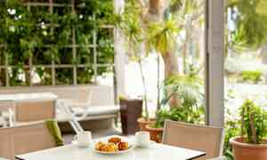 Ett bord med två kaffekoppar och ett fat med bakverk på en uteplats med grönska. (AI-genererad text)