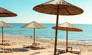 Strand med solstolar och parasoller vid havet. (AI-genererad text)