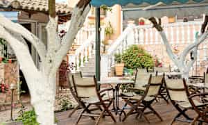 Uteservering med bord och stolar omgivna av vita träd och växter. (AI-genererad text)