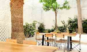 Utomhusbord med trämöbler omgiven av gröna växter och vita väggar. (AI-genererad text)