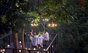 En romantisk middag serveras på en träaltan omgiven av lummig grönska, med levande ljus och ljuskronor som belysning. (AI-genererad text)