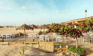 Uteservering med bord och stolar på sandig mark, omgiven av palmtak och grönska vid stranden. (AI-genererad text)