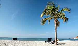 En sandstrand med en palm och några strandstolar. (AI-genererad text)