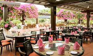 En utomhusrestaurang med bord och stolar, täckt av en pergola dekorerad med rosa blommor. (AI-genererad text)