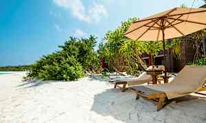 Solstolar på en sandstrand med parasoll och grönska. (AI-genererad text)