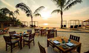 Utsikt över en strand med träbord och stolar, solsängar under himlen och palmer i bakgrunden. (AI-genererad text)