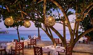 En utomhusrestaurang med matbord under träd med lyktor, vid havet. (AI-genererad text)