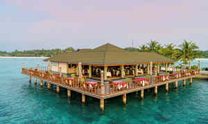 En restaurang byggd på pålar över klart vatten, med omgivande palmer och en strand i bakgrunden. (AI-genererad text)