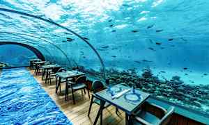 Underhavsmiljö med en restaurang där bord och stolar är uppställda framför ett stort, välvt fönster med utsikt över havet och fiskar. (AI-genererad text)