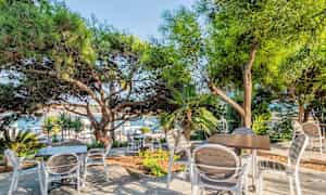 Utomhusservering under skuggande träd med bord och stolar. (AI-genererad text)