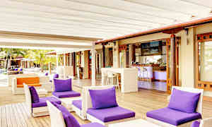 En uteservering med lila kuddar på fåtöljer och ett barområde i bakgrunden. (AI-genererad text)