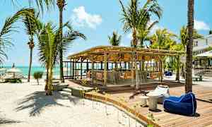 En strandnära bar med palmer och sittmöbler på en träplattform. (AI-genererad text)