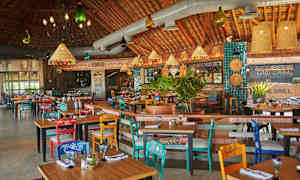 Interiören i en restaurang med färgglada stolar och bord, hängande lampor och växtdekorationer. (AI-genererad text)