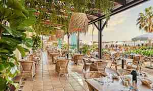 Bild av en vackert inredd utomhusrestaurang med bord i trä och rottingstolar, omgivna av grönska och palmträd. (AI-genererad text)