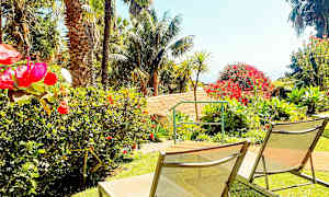 Solstolar på en gräsmatta omgivna av färgglada blommor och palmer. (AI-genererad text)