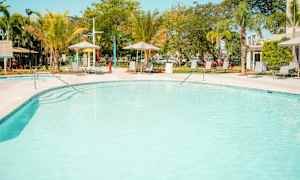 Simbassäng utomhus omgiven av solstolar och palmer. (AI-genererad text)