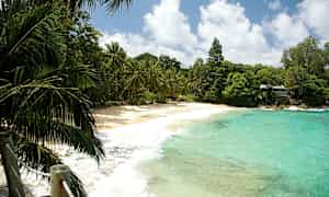 En sandstrand med turkost vatten och gröna palmer. (AI-genererad text)