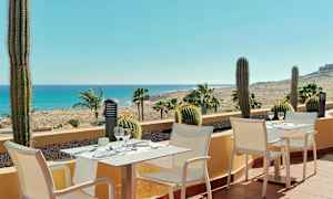 En terrass med vita stolar och små bord, dekorerad med kaktusar och utsikt över palmer, sand och hav. (AI-genererad text)