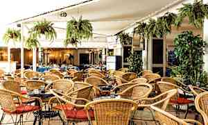 Bild av en uteservering med rottingstolar, små bord och gröna hängväxter. (AI-genererad text)