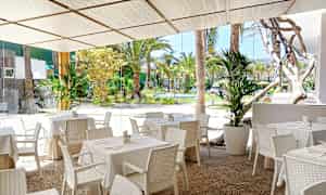 Utomhusrestaurang med vita bord och stolar samt utsikt mot en grönskande trädgård. (AI-genererad text)